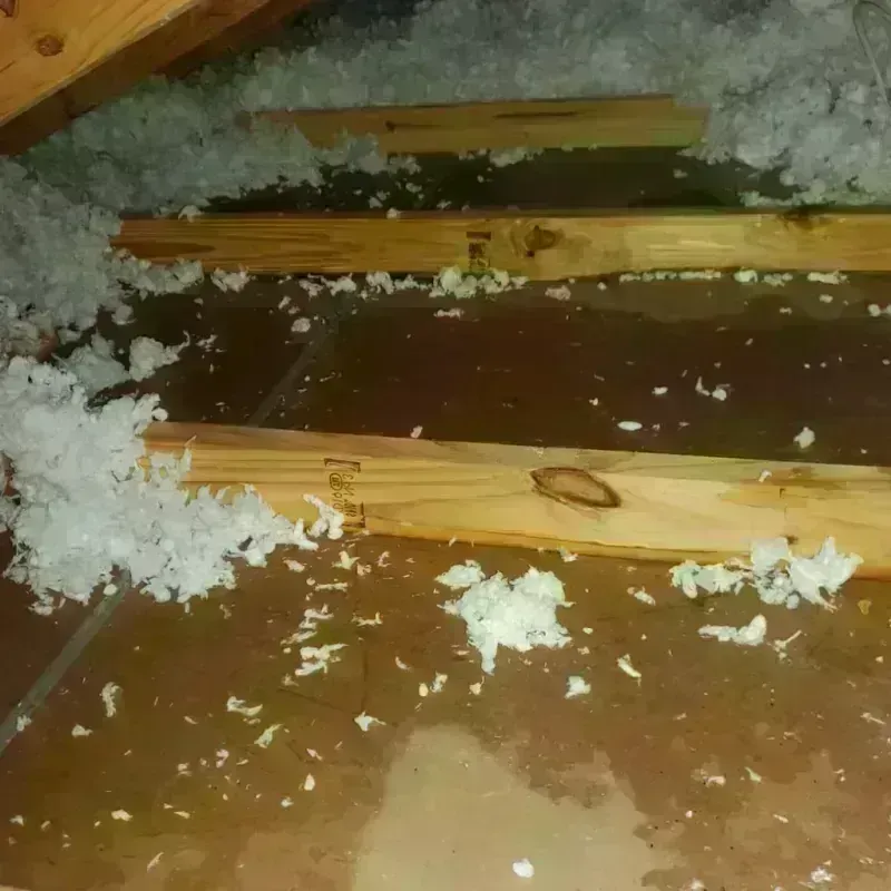 Attic Water Damage in Iola, KS