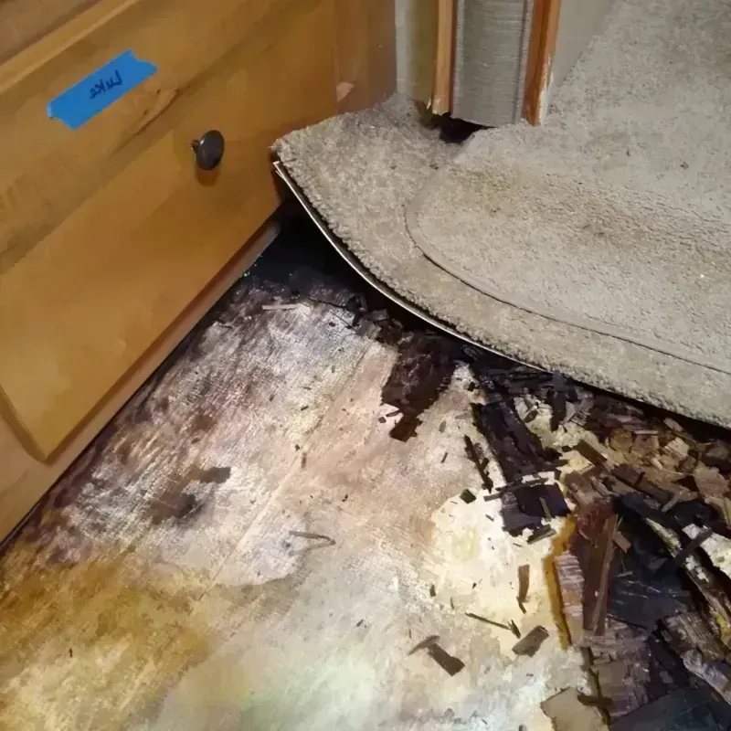 Wood Floor Water Damage in Iola, KS